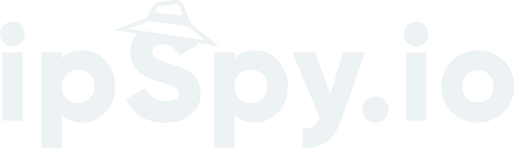 ipSpy.io